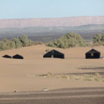 sahara berber tents