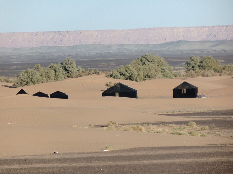 sahara berber tents