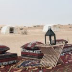 wild sahara desert camping