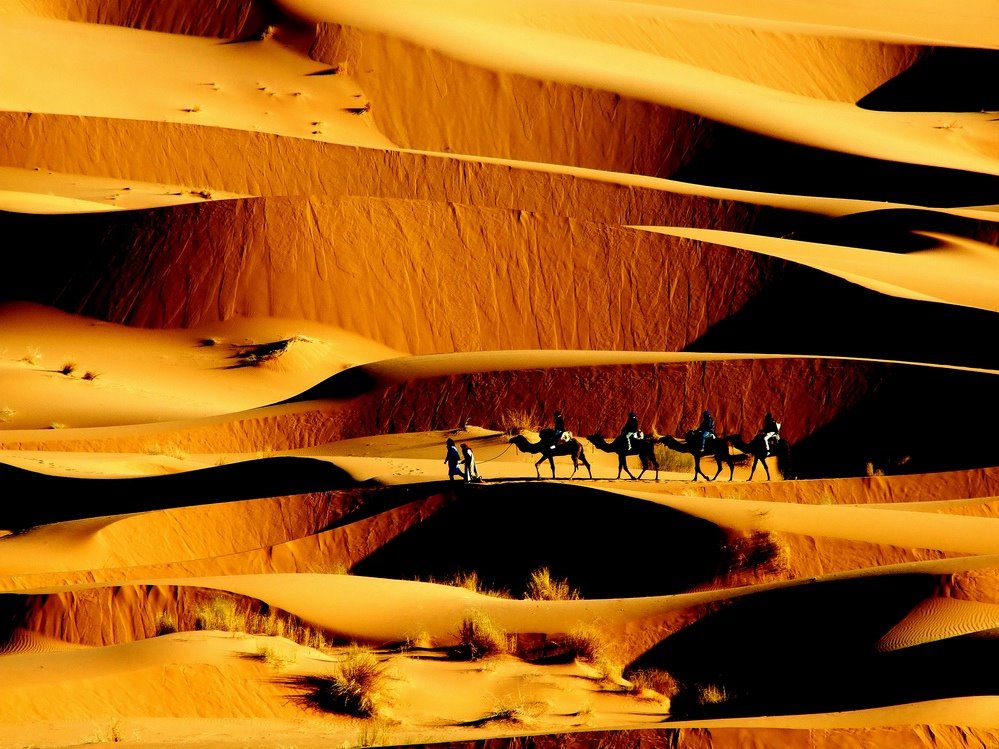 Camel trekking in Merzouga