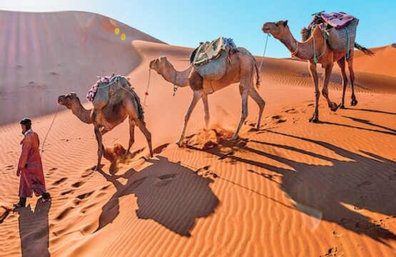 Desert tour from Marrakech to Merzouga